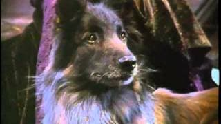 Woman of the Wolf Alex Kingston