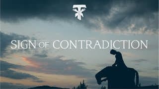 Sign of Contradiction - The Story of St. Francis of Assisi // Teaser