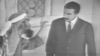 نعجة في المحكمه