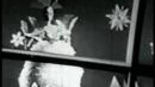 Suzy Snowflake