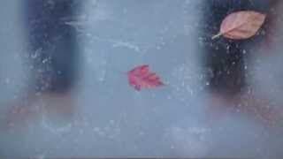 Ed Atkins Even Pricks CAM full video