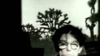 captain beefheart - Don Van Vliet  - Anton Corbijn- some yo yo  stuff.flv