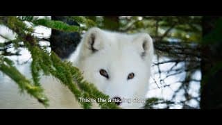 Trailer [Subtitled]