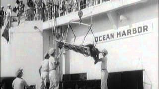 Revenge of the Creature - Trailer