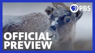 Santa's Wild Home | Official Preview | NATURE | PBS