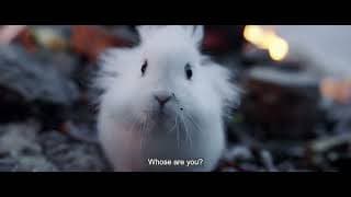 Trailer [Subtitled]