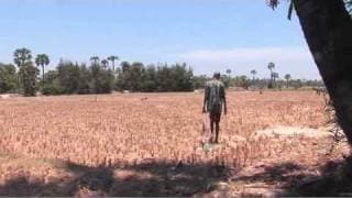 60s trailer - Meet Me at the Mango Tree - Feature 2