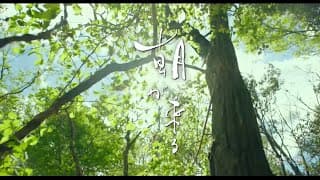 #BIFF2020 Gala Presentation - True Mothers / 갈라 프레젠테이션 - 트루 마더스
