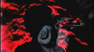 The Human Body Trailer