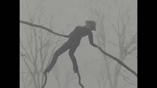 ARGENT ARBRE ARGENT | Short film