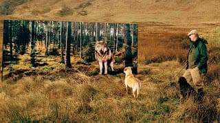 The Serengeti Rules - Trailer