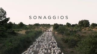 Sonnagios | Official Trailer