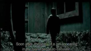 Spider Forest Trailer