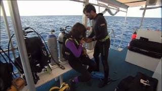 Final Chance to Save - Leatherback Turtles Part 1