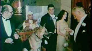 Won Ton Ton The Dog Who Saved Hollywood 1976 trailer
