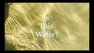 Is This Water?
