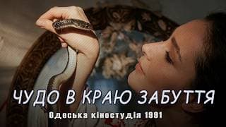 Чудо в краю забуття (1991)