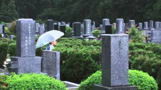 『僕らは歩く、ただそれだけ」予告