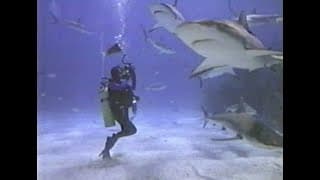 PBS Secrets of the Ocean Realm S2E4 - Mountain in the Sea; Filming Secrets