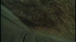 Rage of the Werewolf movie trailer