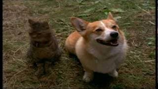Disney Cinemagic Spain - DOS TESTIGOS MUY PELUDOS (MURDER SHE PURRED: A MRS. MURPHY MYSTERY) - Promo