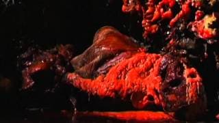 Cryptic Plasm hypergore trailer