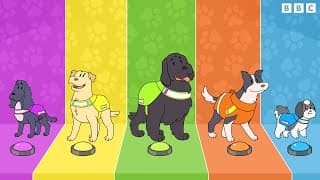 Meet the Dog Squad 🐾 | CBeebies