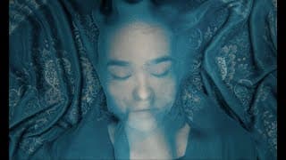 A Fox Under a Pink Moon • Trailer