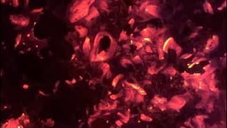 INDUSTRIALISTIC - short film