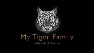 My Tiger Family With Valmik Thapar [Trailer]