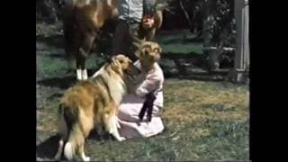 LAD A DOG ~ Movie 1962 (Preview Clip)