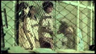 BUTTERFLY IN GRAY SUB TITLE TRAILER