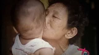 PHIM TÀI LIỆU: TIẾNG VĨ CẦM Ở MỸ LAI