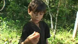 A gente luta  - Trailer / We struggle  (Ashaninka)