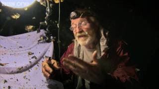 Insect Trap - Lost Land of the Volcano Highlight Episode 3 - BBC One
