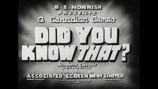 DID YOU KNOW THAT (NO.1) IDC18479