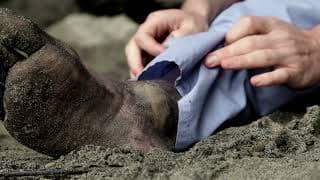 Survivor Type (Kevin Fisk) 2013 - Trailer
