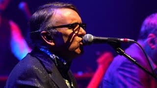 Squeeze - Cool For Cats (Live at Liverpool Philharmonic, 2019)