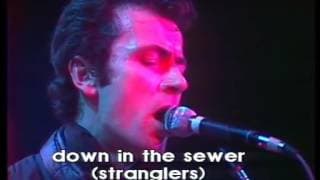 The Stranglers live in Paris (1979)