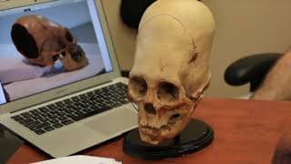 On the Trail of the Nephilim #6 DNA - The Final Results