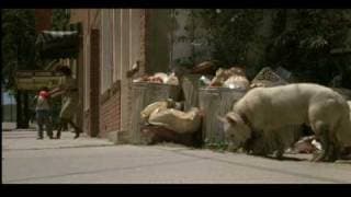 White Dog (1982) Theatrical Trailer