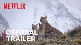 Official Netflix Trailer