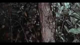 "Knight Errant" Trailer
