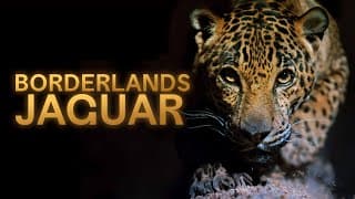 Borderlands Jaguar - Official Trailer - Available on AppleTV & Amazon Prime
