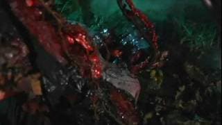 Bloodpigs trailer2
