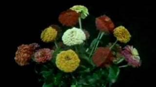 Flowers (1912)