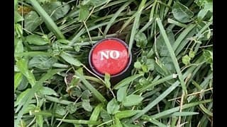 The Button