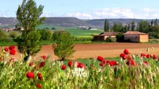 Pilgrimage with Simon Reeve: Trailer - BBC Two