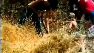 Stream Wrong Way (1972) Film Trailer