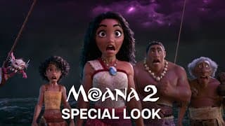 Special Look